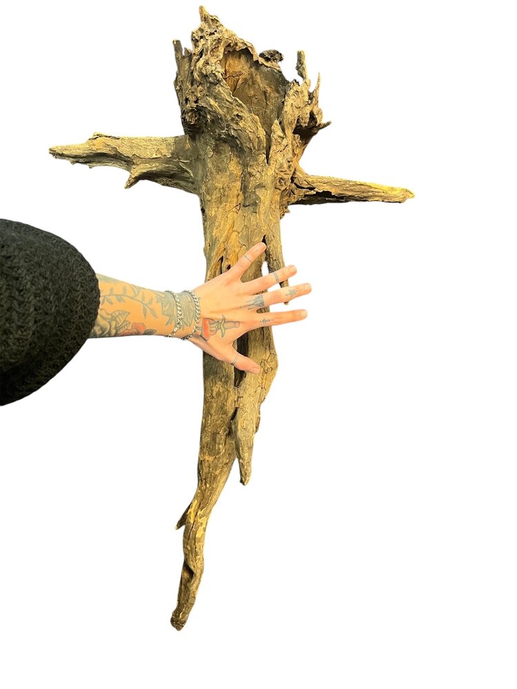 AquastoreXL Corbo Root XL NR04 4,7kg