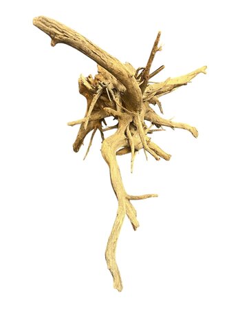 AquastoreXL Corbo Root XL NR03 7,6kg