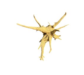 AquastoreXL Corbo Root XL NR01 3,9 kg AquastoreXL Corbo Root XL NR01 3,9 kg