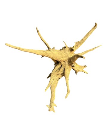 AquastoreXL Corbo Root XL NR01 3,9 kg