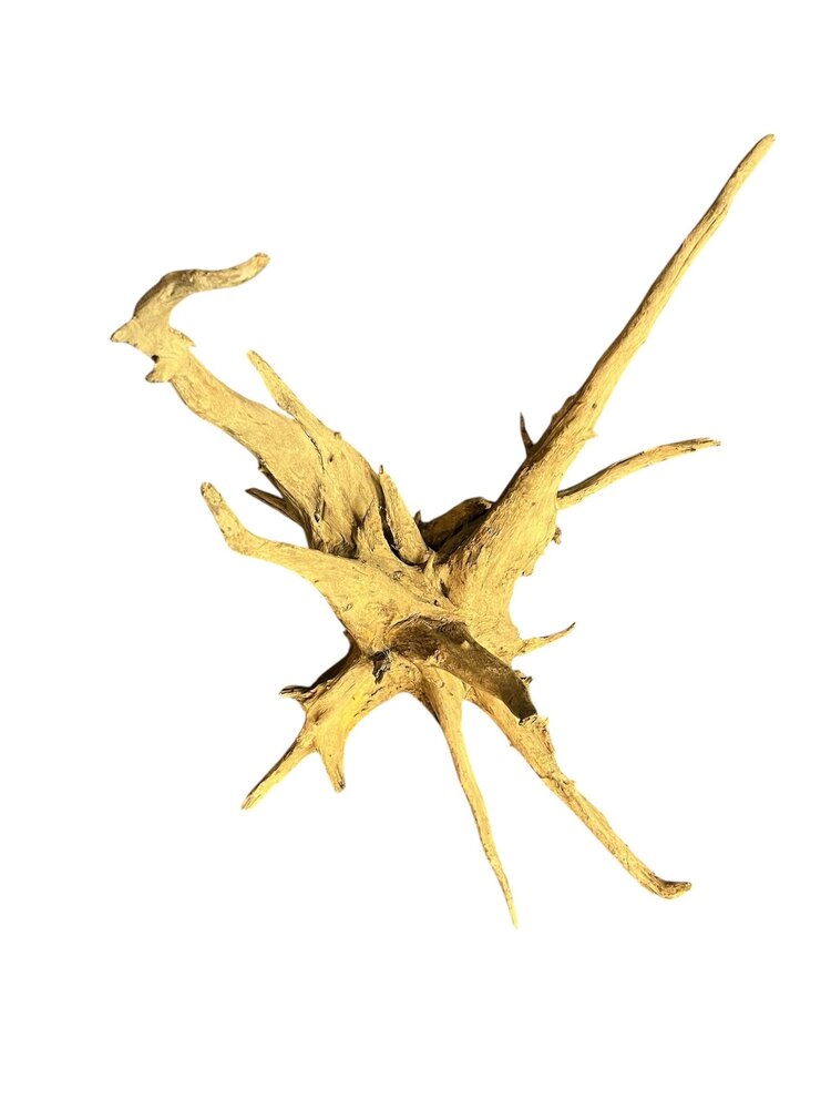 AquastoreXL Corbo Root XL NR01 3,9 kg