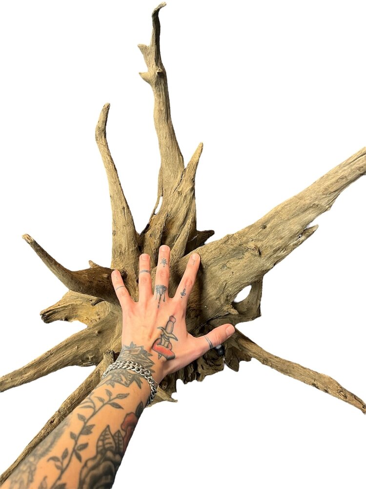 AquastoreXL Corbo Root XL NR01 3,9 kg