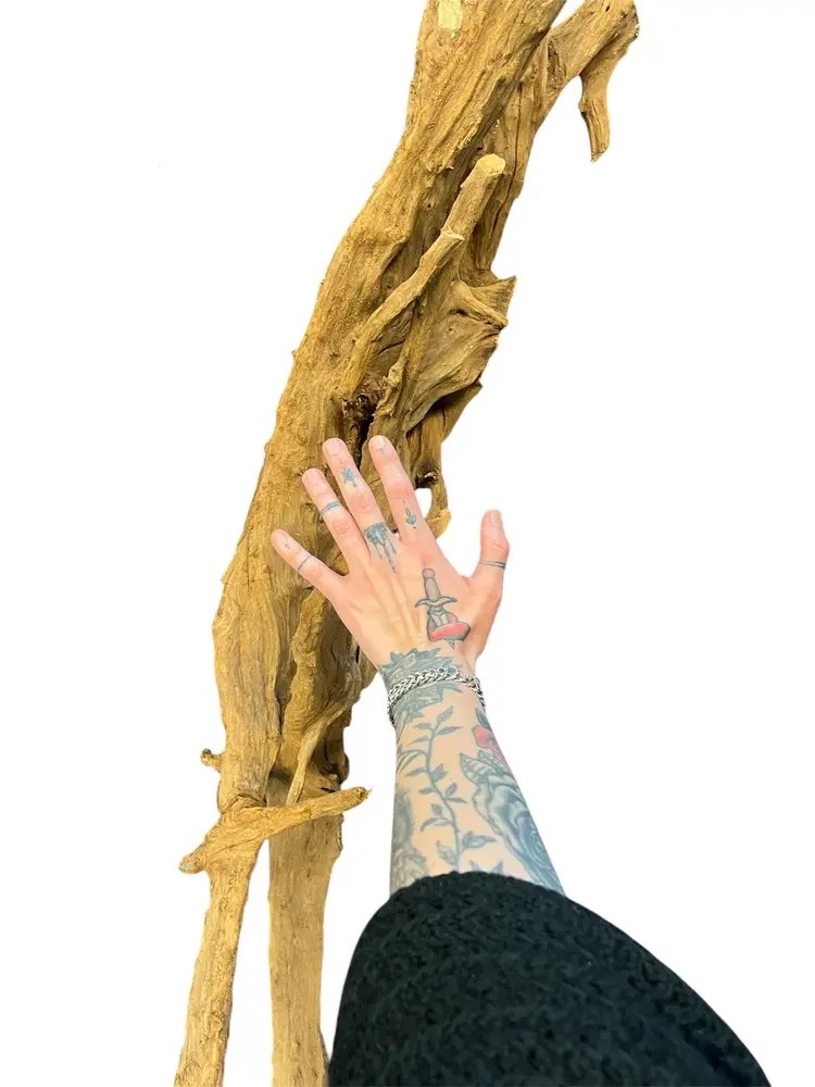 AQXL Selected Mangrovehout XL NR02 90-120cm