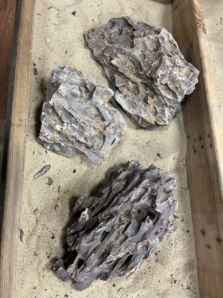 AQXL A Steenbundel Dragon Rock braun 3 Stück