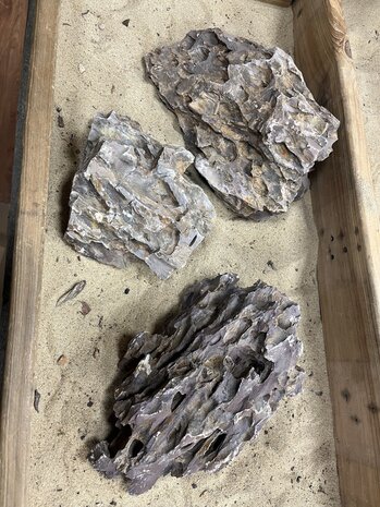 AQXL A Steenbundel Dragon Rock braun 3 Stück