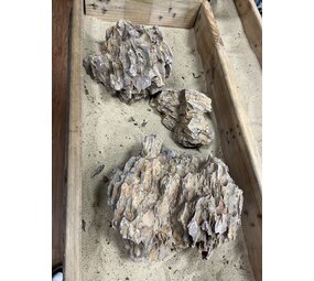AQXL B Steenbundel Dragon Rock braun 3 Stück