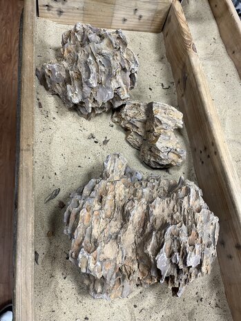 AQXL B Steenbundel Dragon Rock braun 3 Stück