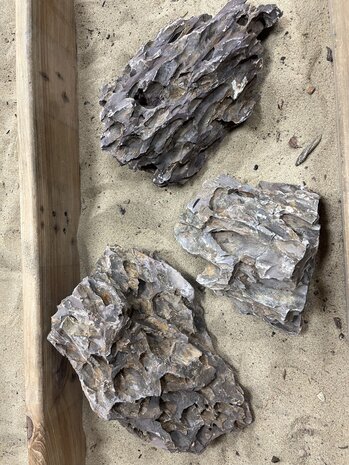 AQXL A Steenbundel Dragon Rock braun 3 Stück