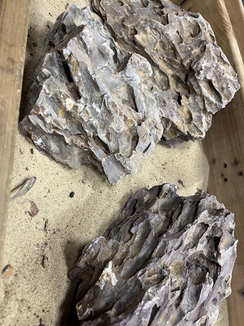 AQXL A Steenbundel Dragon Rock braun 3 Stück