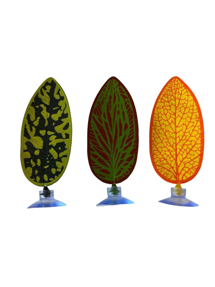 AquastoreXL Betta Bett