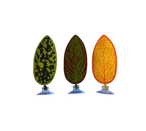 AquastoreXL Betta Bett