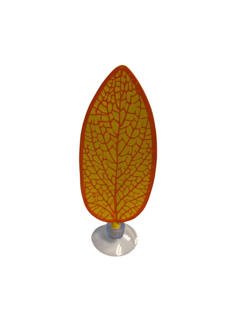 AquastoreXL Betta Bett