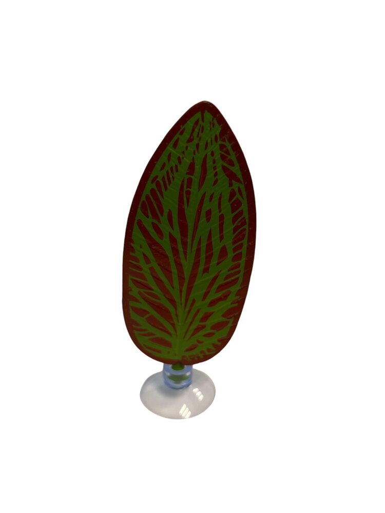 AquastoreXL Betta Bett