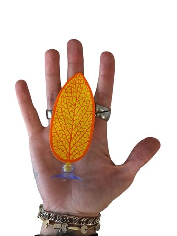 AquastoreXL Betta Bett