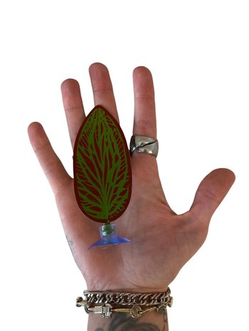 AquastoreXL Betta Bett