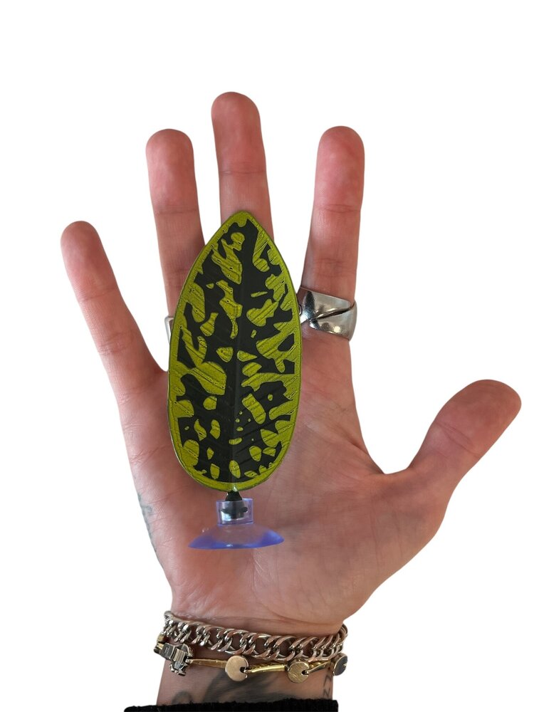 AquastoreXL Betta Bett