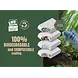 Aquatlantis Sublime Horizon 200cm Ultra RGBW Biobox Aquarium Komplettset