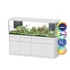 Aquatlantis Sublime 200X60 Ultra RGBW Biobox Aquarium Komplettset