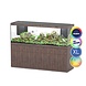 Aquatlantis Sublime 200X60 Ultra RGBW Biobox Aquarium Komplettset
