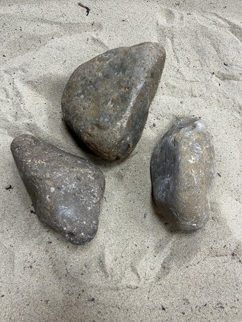 AQXL Steinbündel M Tamago Rocks beige/grau 3 Stück AQXL Steinbündel M Tamago Rocks beige/grau 3 Stück