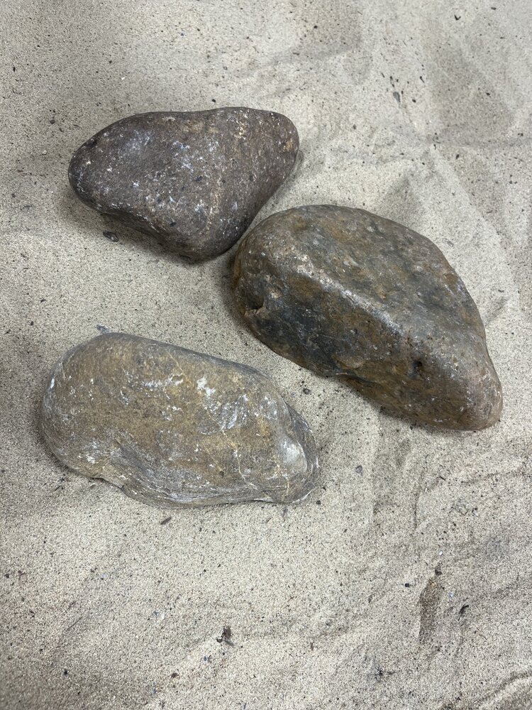 AQXL Steinbündel M Tamago Rocks beige/grau 3 Stück AQXL Steinbündel M Tamago Rocks beige/grau 3 Stück