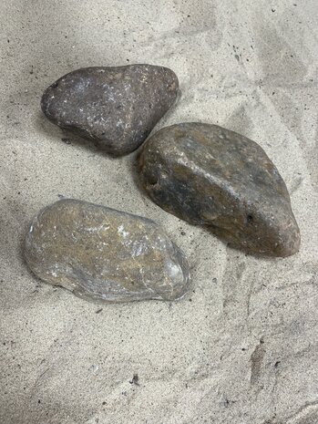 AQXL Steinbündel M Tamago Rocks beige/grau 3 Stück AQXL Steinbündel M Tamago Rocks beige/grau 3 Stück