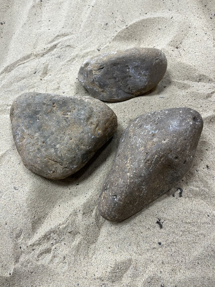 AQXL Steinbündel M Tamago Rocks beige/grau 3 Stück AQXL Steinbündel M Tamago Rocks beige/grau 3 Stück