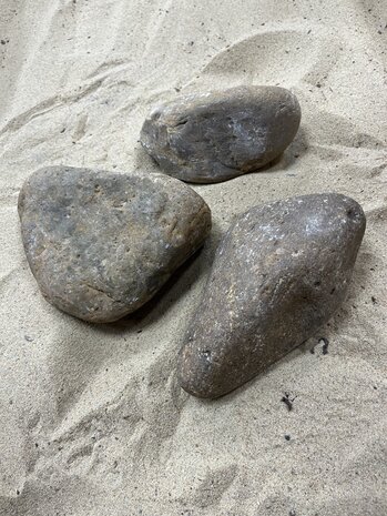 AQXL Steinbündel M Tamago Rocks beige/grau 3 Stück AQXL Steinbündel M Tamago Rocks beige/grau 3 Stück