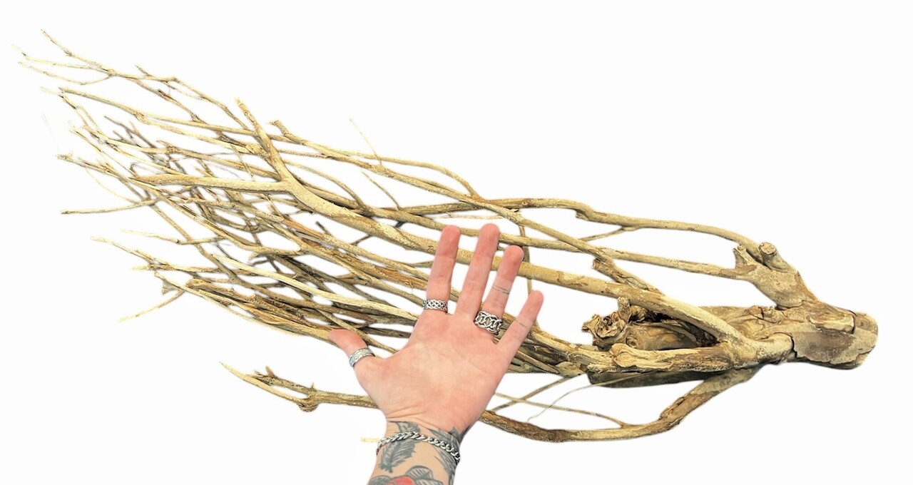 Aquadeco Talawa Holz XL 80-100 cm