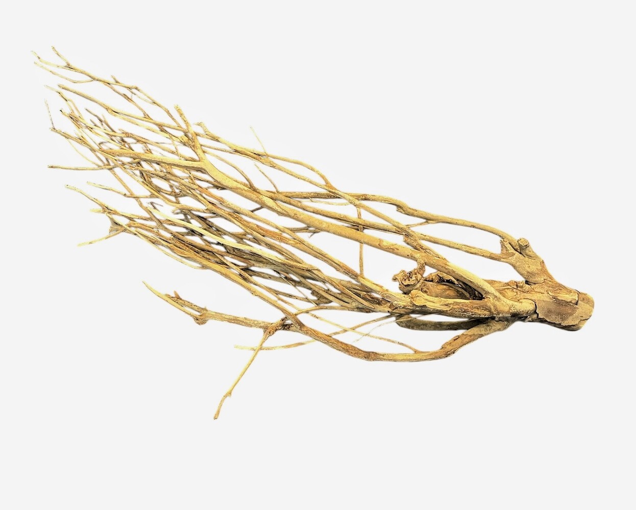 Aquadeco Talawa Holz XL 80-100 cm