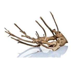 Aquadeco Talawa Holz M 30-45 cm