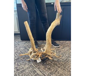 AQXL Ausgewählter Holzstumpf 60x56 AQXL Ausgewählter Holzstumpf 60x56