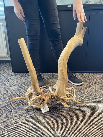 AQXL Ausgewählter Holzstumpf 60x56