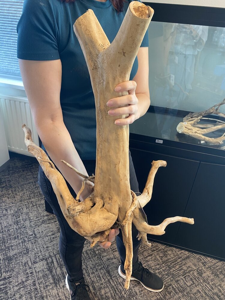 AQXL Ausgewählter Holzstumpf 60x42