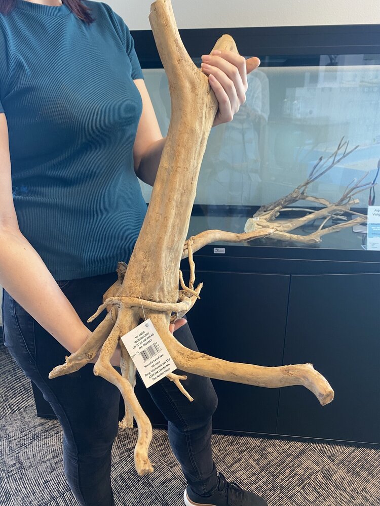 AQXL Ausgewählter Holzstumpf 60x42