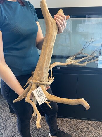 AQXL Ausgewählter Holzstumpf 60x42