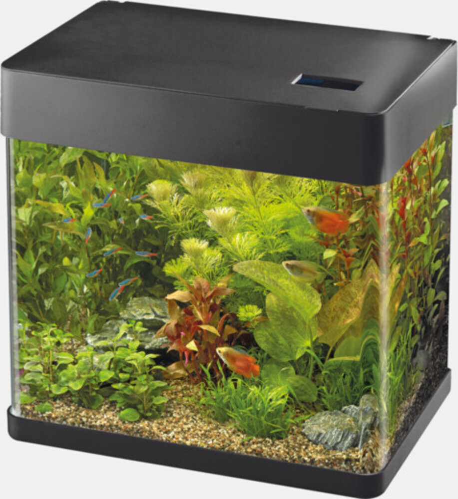 Superfish Panorama 50 LED Schwarz
