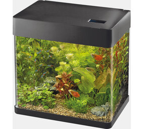 Superfish Panorama 50 LED Schwarz Superfish Panorama 50 LED Schwarz