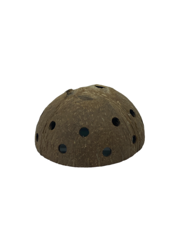 AquastoreXL Halbe Kokosnuss mit Löchern Ø 12 cm AquastoreXL Halbe Kokosnuss mit Löchern Ø 12 cm