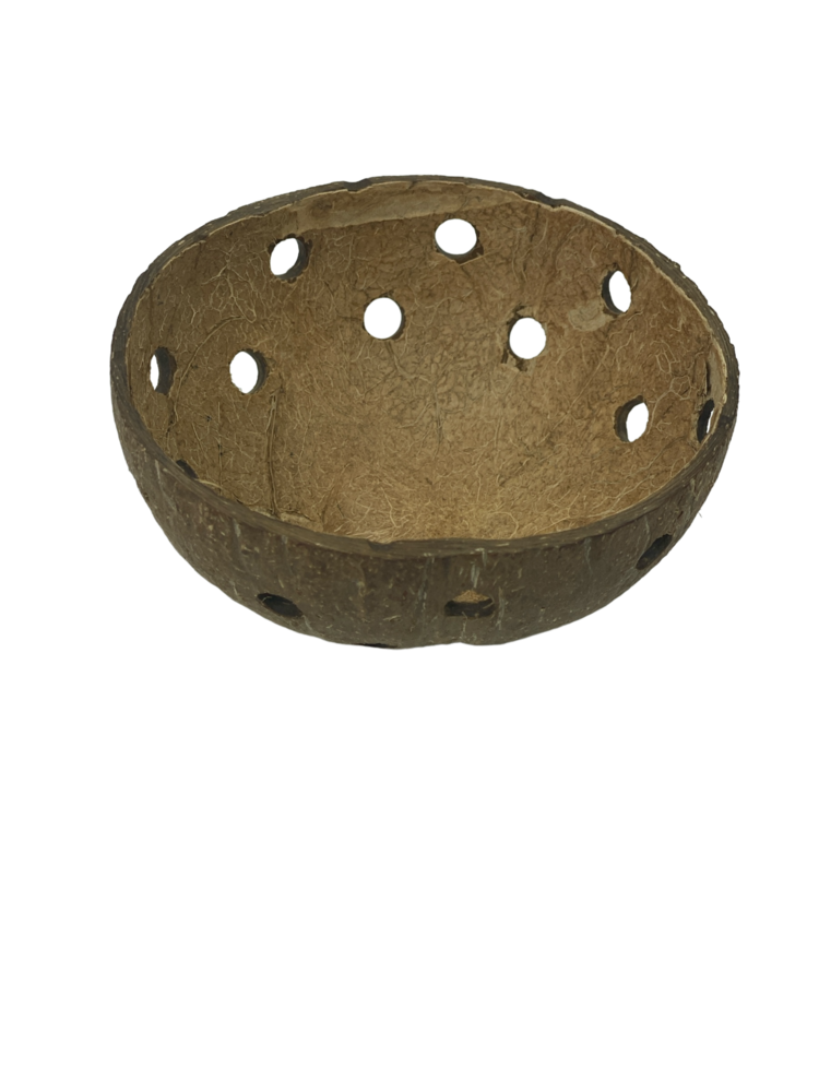 AquastoreXL Halbe Kokosnuss mit Löchern Ø 12 cm AquastoreXL Halbe Kokosnuss mit Löchern Ø 12 cm