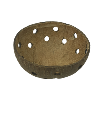 AquastoreXL Halbe Kokosnuss mit Löchern Ø 12 cm AquastoreXL Halbe Kokosnuss mit Löchern Ø 12 cm