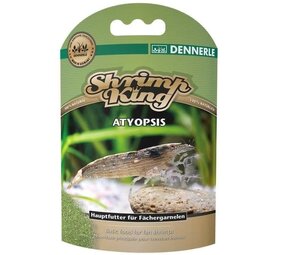 Dennerle Shrimp King Atyopsis Dennerle Shrimp King Atyopsis