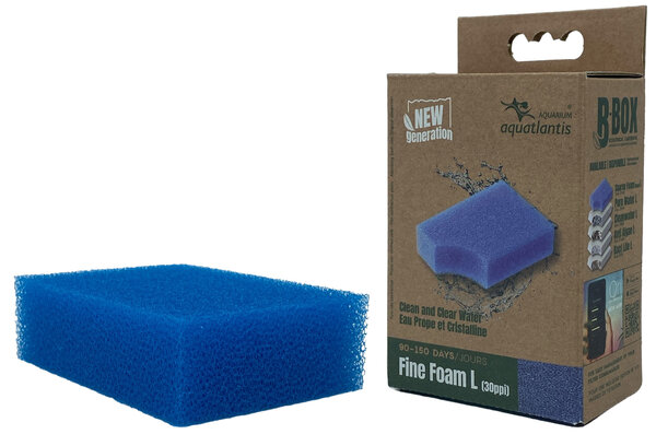 Aquatlantis B-Box Fine Foam L Aquatlantis B-Box Fine Foam L