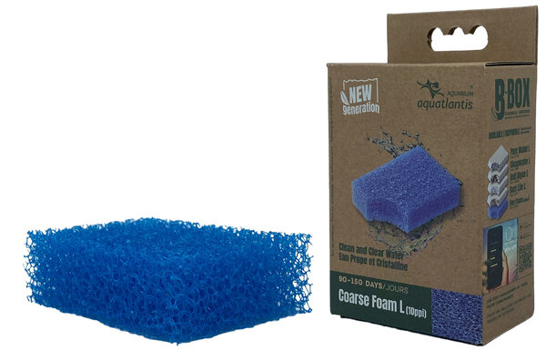 Aquatlantis B-Box Grober Schaum L