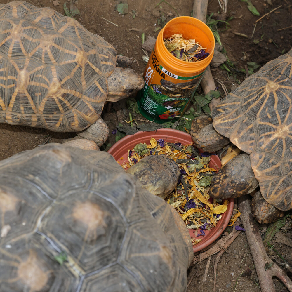 JBL ProTerra Florsil 1000ml JBL ProTerra Florsil 1000ml