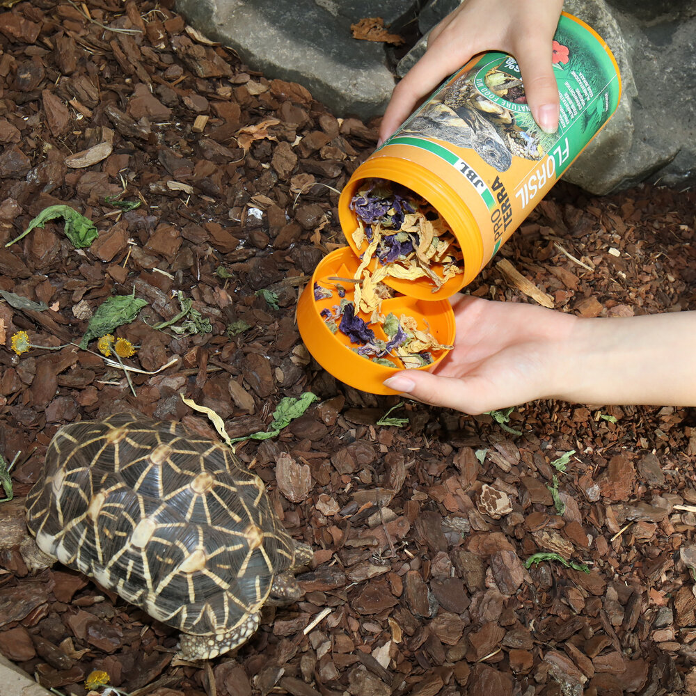 JBL ProTerra Florsil 1000ml JBL ProTerra Florsil 1000ml