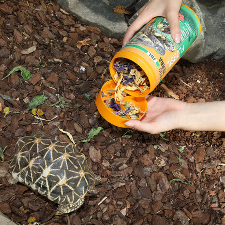 JBL ProTerra Florsil 1000ml JBL ProTerra Florsil 1000ml