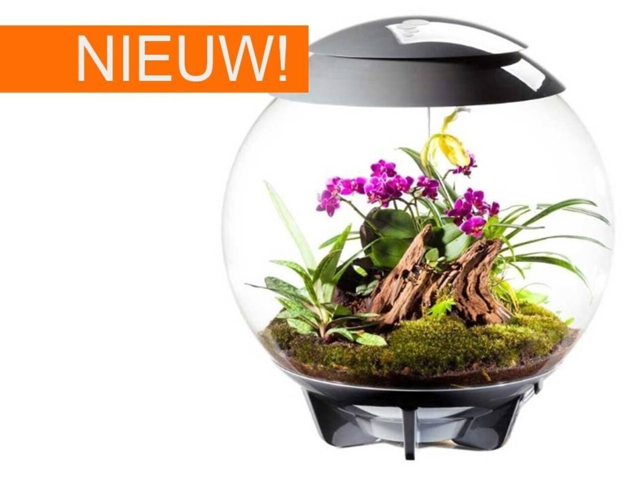 biOrb Air 60 Weiß biOrb Air 60 Weiß