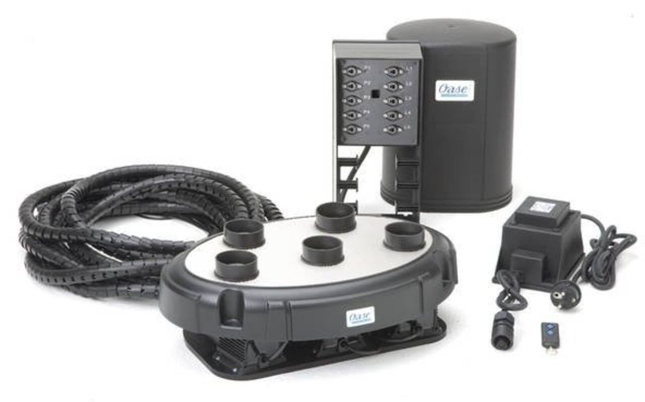 Oase Wasser Quintett