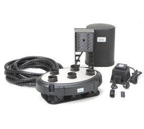 Oase Wasser Quintett